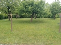 IMG_20250528_152910
