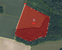 Grundstück_mit_Wald_34672m²