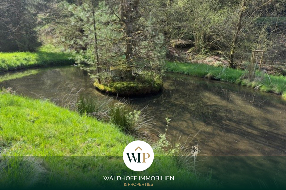 Preisreduzierung- Idyllisches Gartengrundstück mit Wasserzugang und Wasserrecht in Elmstein / Nähe Hornesselwiese