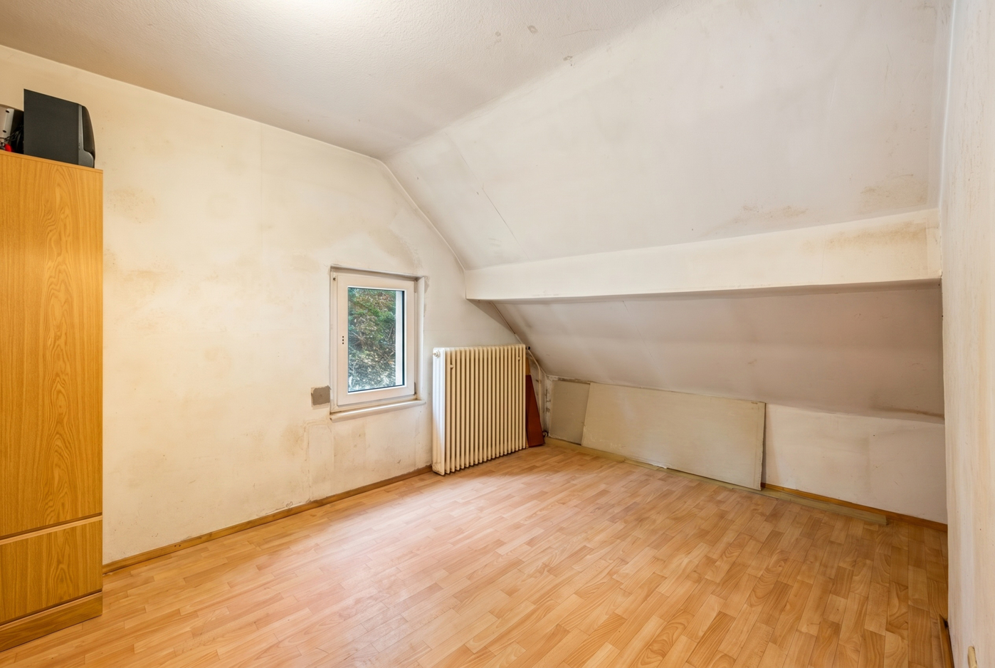 Zimmer DG