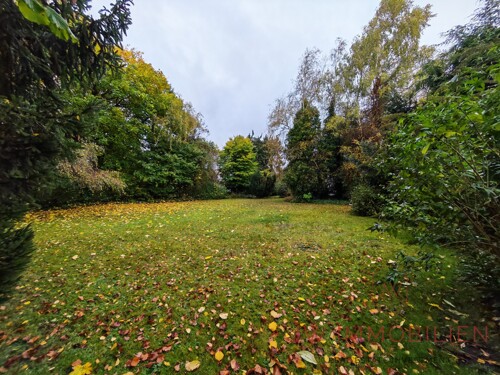 Grundstück hinten (1)