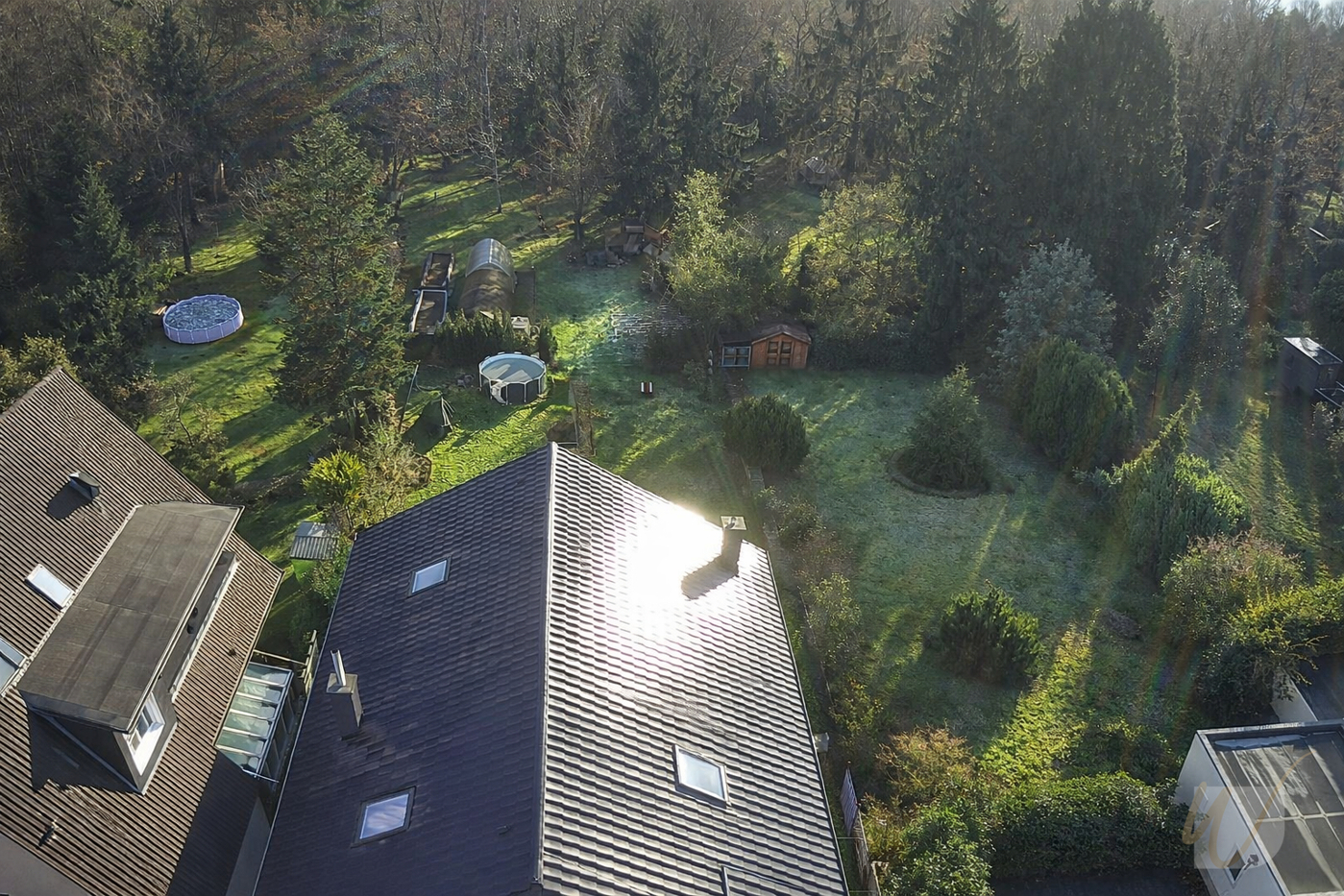Blick in den Wald04
