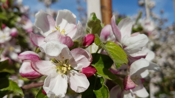 20190421_164626_resized