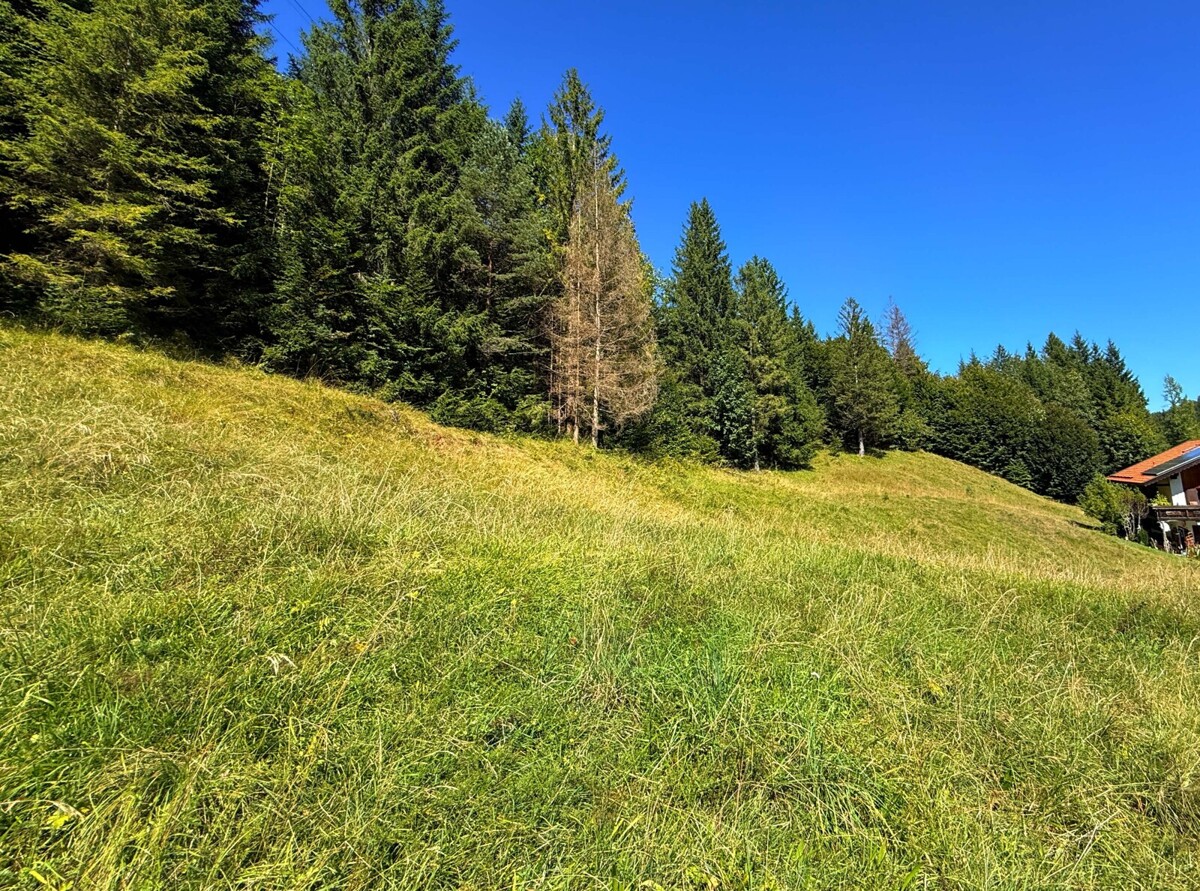 Weitläufiges Grundstück mit Altbestand 