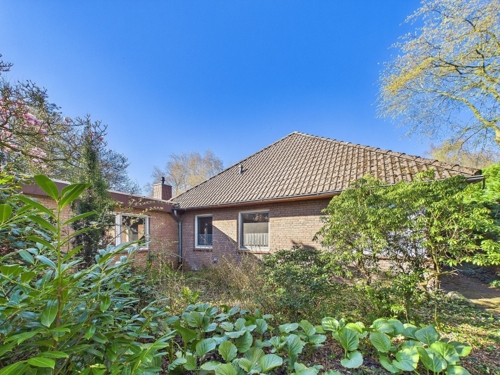 Eingangsbereich-Vorgarten