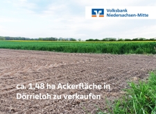 Titelbild_Doerrieloh