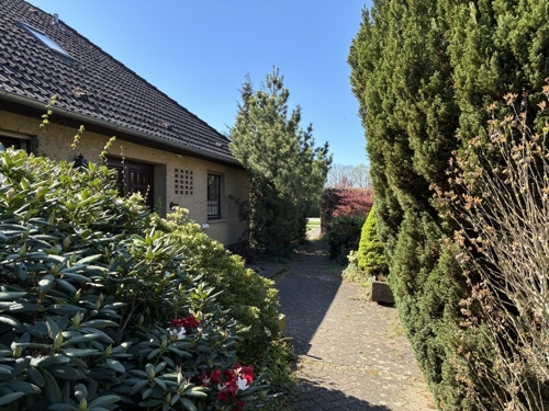 seitliche Ansicht