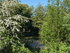 Blick zum Teich