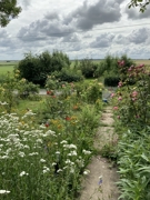 Blick aus der Haustür in die Marsch