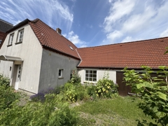 Gartenfoto