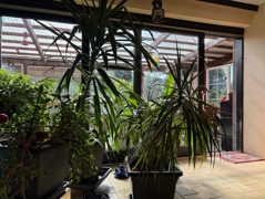 Wohnbereich mit Blick in den Wintergarten