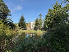 Teich auf dem Freigelände