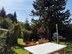 Terrasse mit Gartenblick