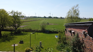 Weites Grün