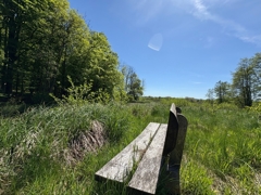 Bank am Teich
