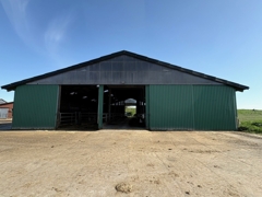 Halle/Stall II