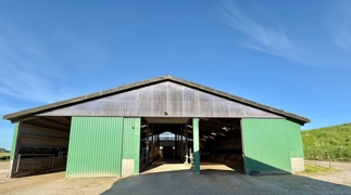 Halle / Stall  III