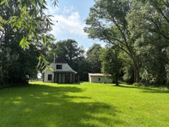 große Wiese