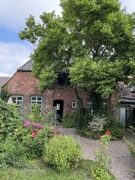 Wie im Bauerngarten