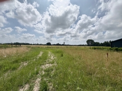 Blick im Juli /2025