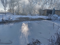 Winterimpression