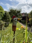 Gartenimpression