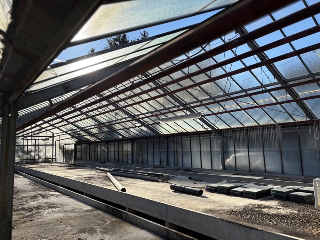 weiteres Gewächshaus