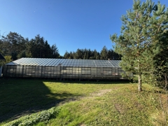 Gewächshaus