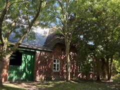 Neben / Stalleingang
