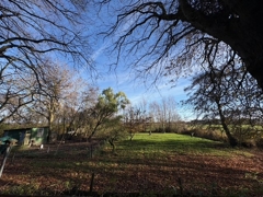 Blick in den alten Obstgarten