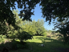 Obstgarten