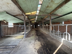 1 Innen Jungviehstall