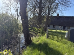 Teich am Haus