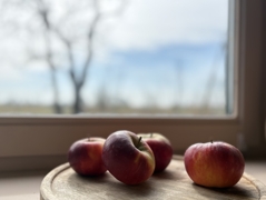 Ausblick Küche
