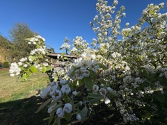 Frühling!
