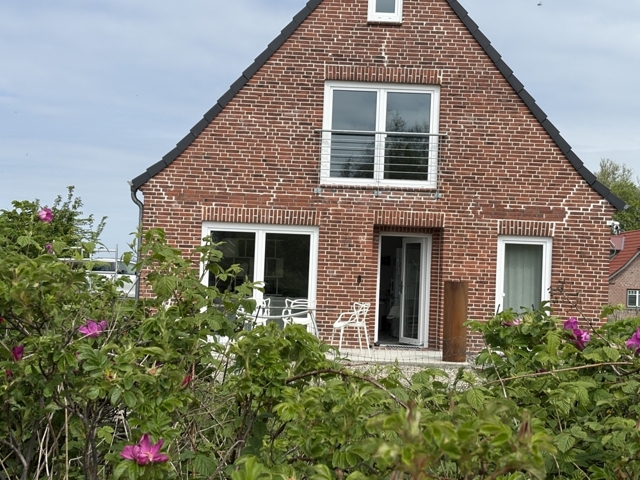 Hinter Wildrosenhecke