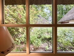 Gartenblick ins Rosenbeet
