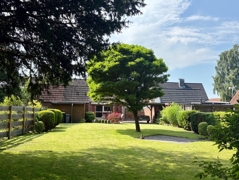 Garten mit Hausbaum