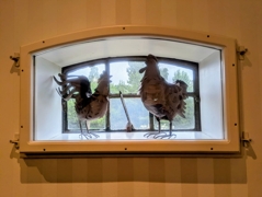 Eisenfenster