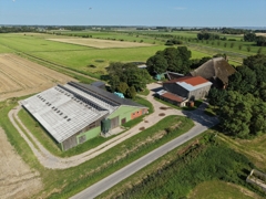 Stallgebäude mit PV