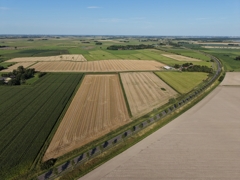 Flächen nördlich der Bundesstraße