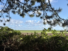 Weitsicht zum Nordseedeich