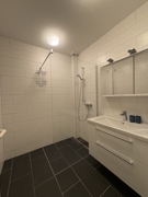Gästehaus neues Duschbad