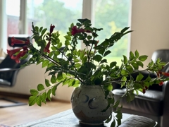 Grünes aus dem Garten