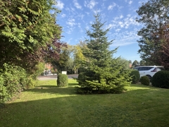 Hausbaum