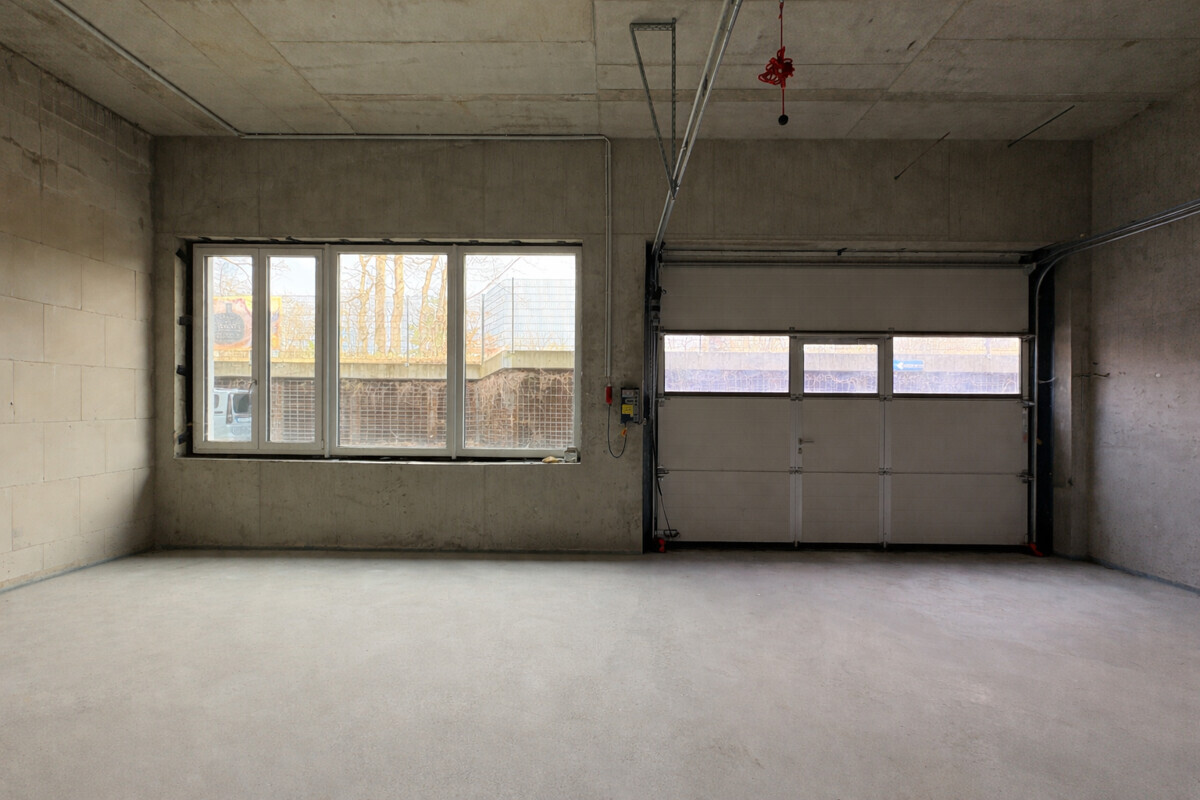 Halle EG