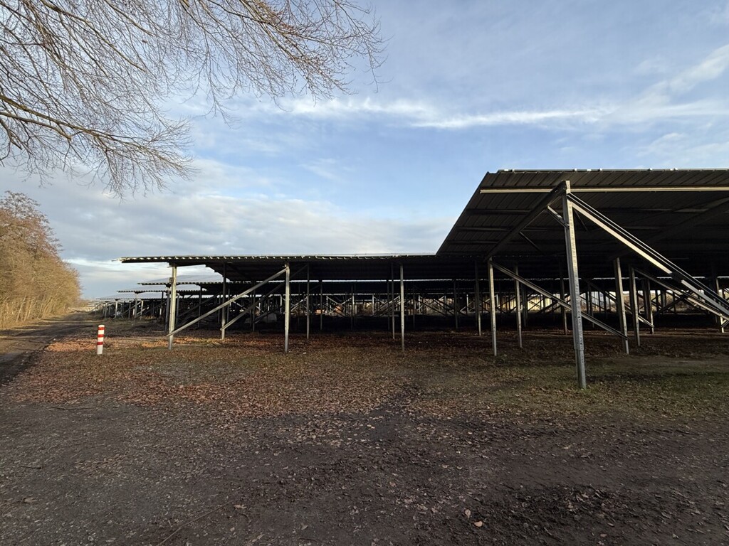 Lager- & Hallenfläche mieten in Lintig – 30.000 m² Grundstück + 2.000 m² Kalthalle, 27624 Lintig