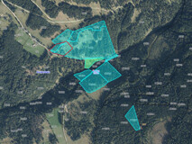 9ha Waldfläche in Kaning
