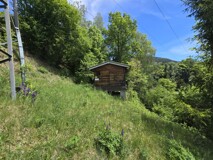 Natur. Ruhe. Freiheit. – Ihr Grundstück in Untertweng! 
Sonniges Baugrundstück + Waldfläche