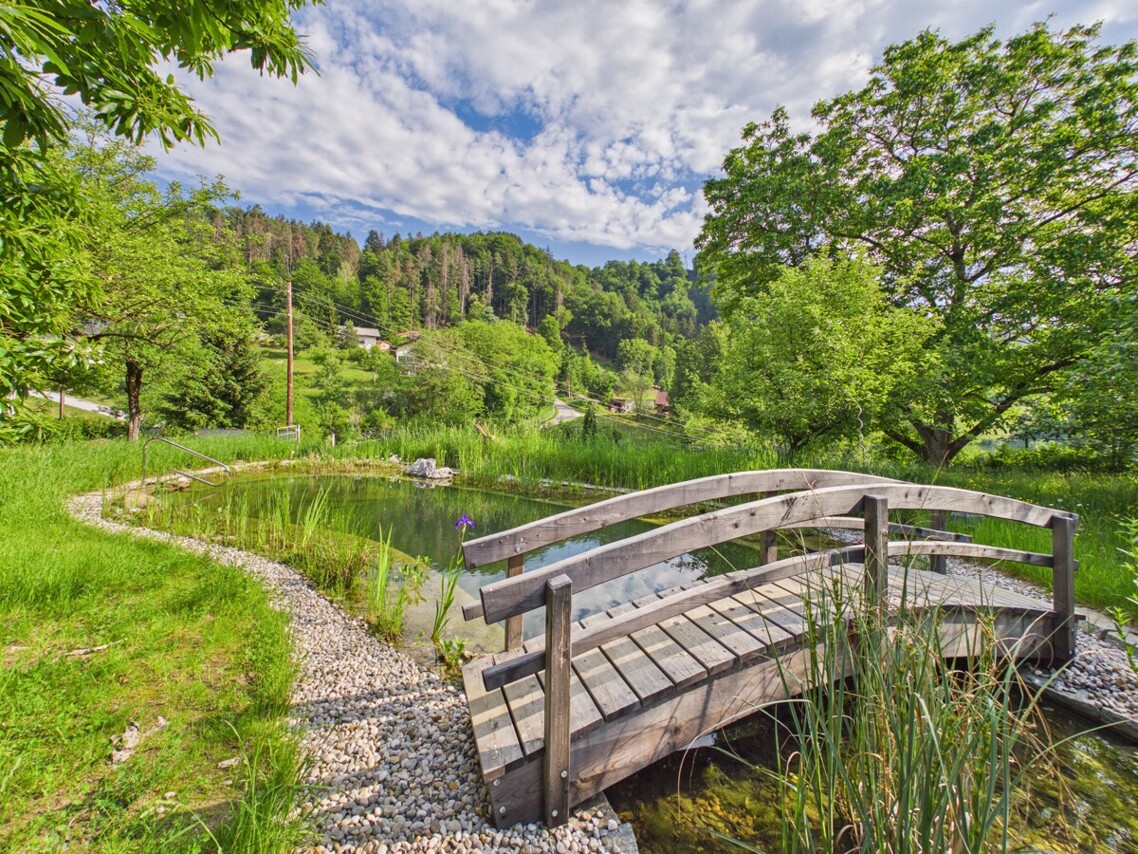 Ruheoase in Kossiach – Einfamilienhaus mit 3.000 m² Gartenparadies, Naturteich & Selbstversorgerfläche